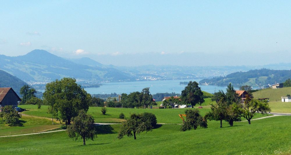 Baustart erfolgt! Neubauprojekt Triangulum Gommiswald Attikawohnung -  Bild 2