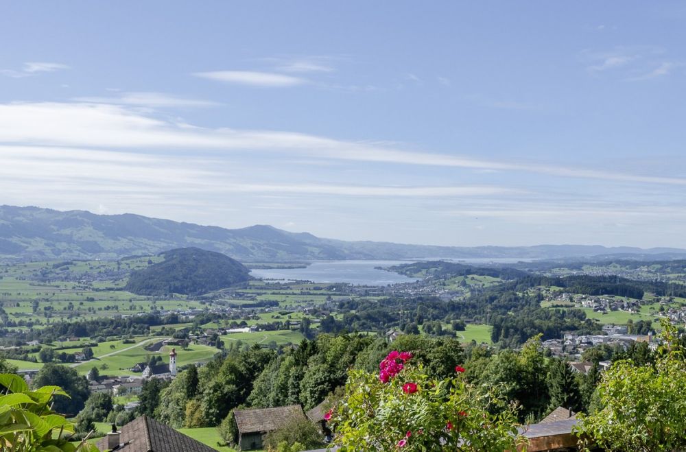 Neubau Einfamilienhaus mit atemberaubendem Panorama -  Bild 4