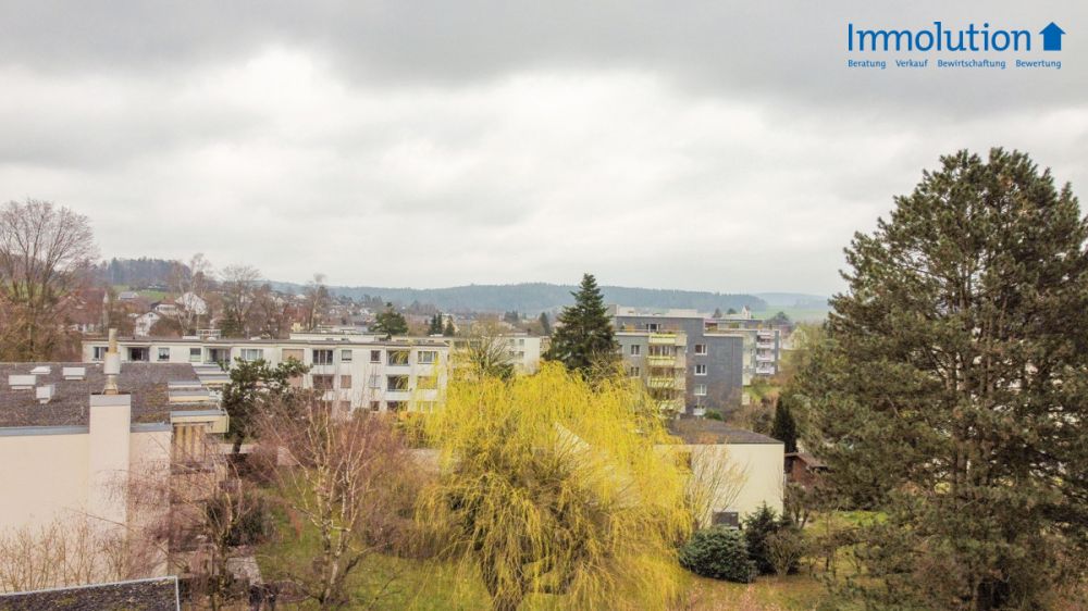 Neubauprojekt - 4,5 Zimmer Penthouse - Über den Dächern von Wiesendang - Aussicht