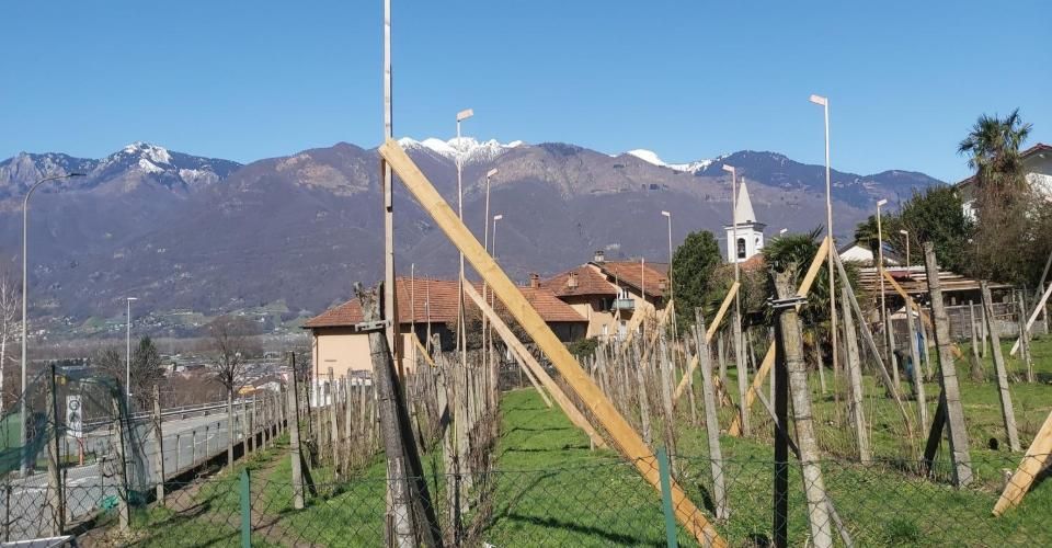 <span lang="fr">Villa individuelle en construction prochaine à Cadenazzo dans un nouveau complexe résidentiel</span> - Maison 5 pièces - image - 12