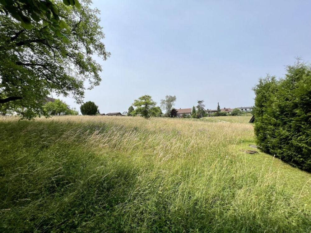 Liegenschaft mit grosser Landfläche und viel Bauland - Bauland