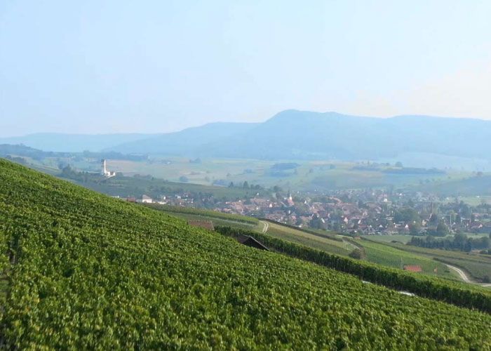 Moderne 3.5-Zimmer-Wohnung mit Panoramablick in Beringen - Bild 3