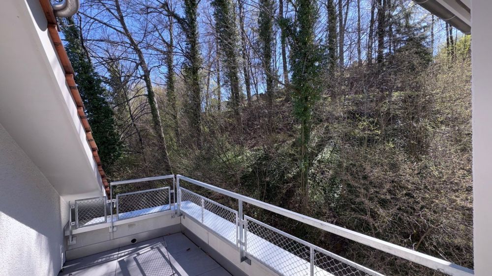 Moderne 4.5-Zimmer-Dachwohnung mit Waldblick in Langnau am Albis -  Bild 11