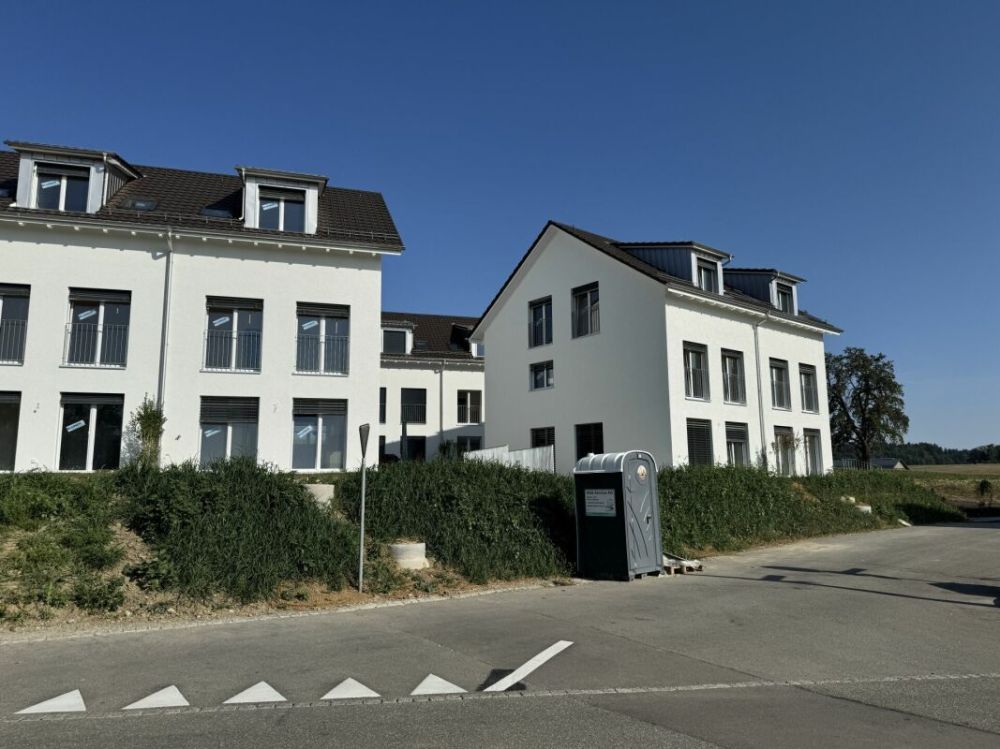 Alpenblick Wetzikon TG -  Bild 1