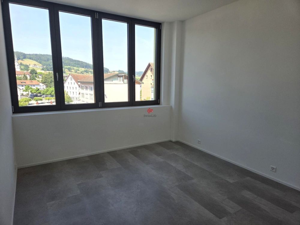 Moderne Loftwohnungen - Erstbezug - Sehr grosse Fenster mit elektrischen Rollläden