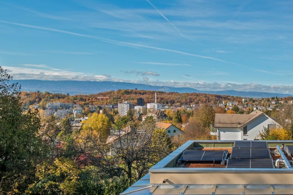 TOUT JUSTE LIVRÉES SUR LES HAUTS DE CHAILLY - Bild 3