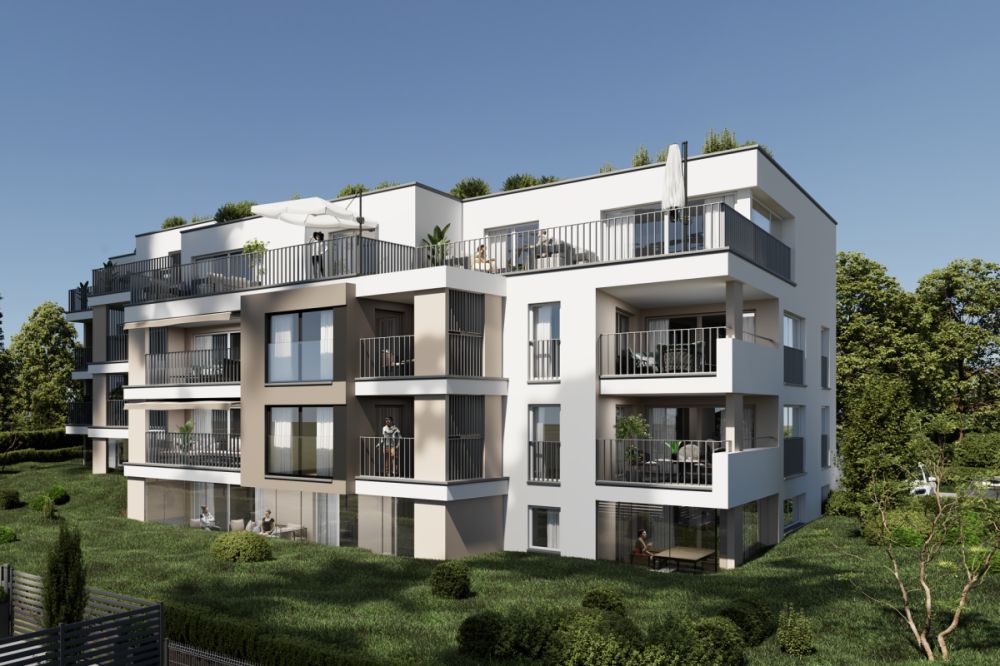 Neubau im Klee, Rafz -  Bild 2