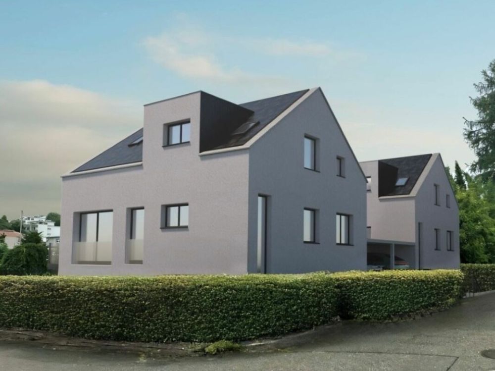 Modernes Neubau-Einfamilienhaus mit Einliegerwohnung -  Bild 1