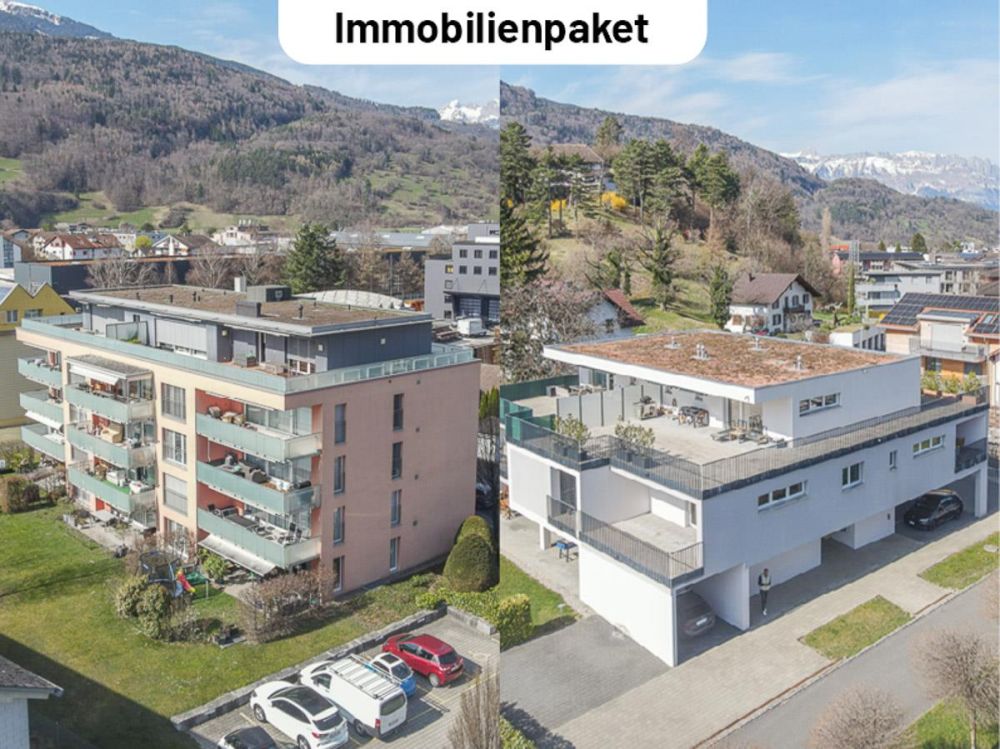 attraktives Immobilienpaket - zwei MFHs an zentraler Lage - Titelbild Inserat.jpg