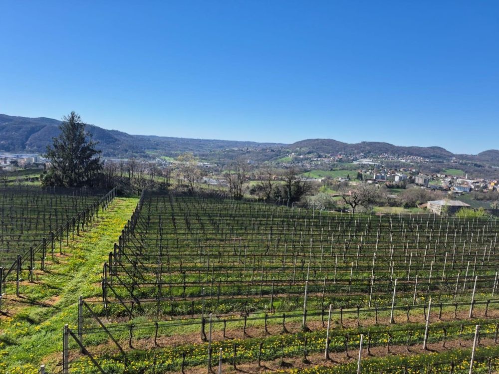 Moderno appartamento 3.5 locali a Castel San Pietro -  Bild 3