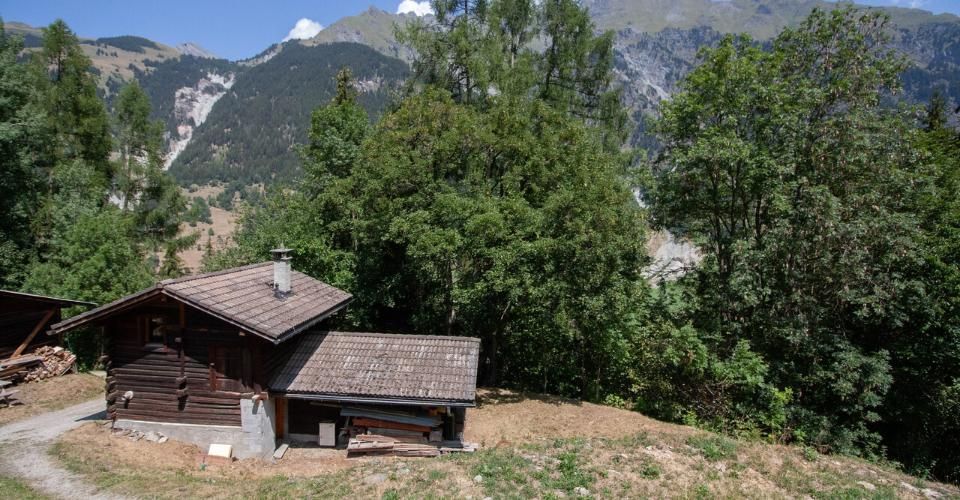 Charmant petit chalet à vendre à Lourtier - Chalet 2.5 pièces - image - 3
