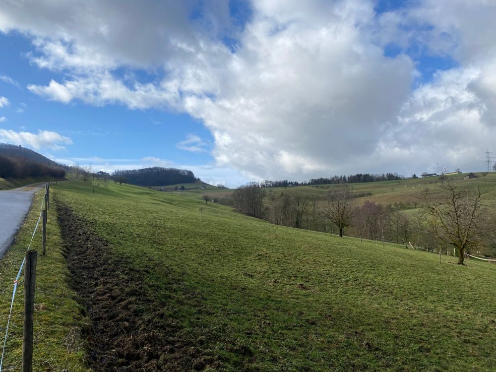 NEUBAU 4.5-Zimmer Wohnung (1. Obergeschoss) - Bild 6