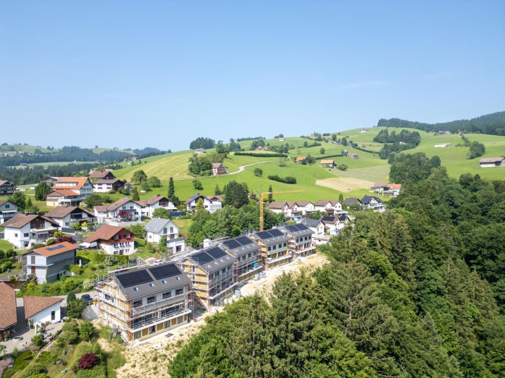 Modern wohnen - mitten in der Natur - Baustand Juni 2025