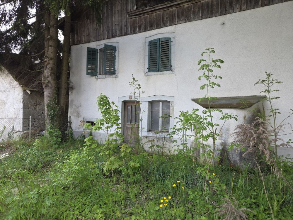 Zwei Gebäude auf 2'583 m2 Baugrund -  Bild 3