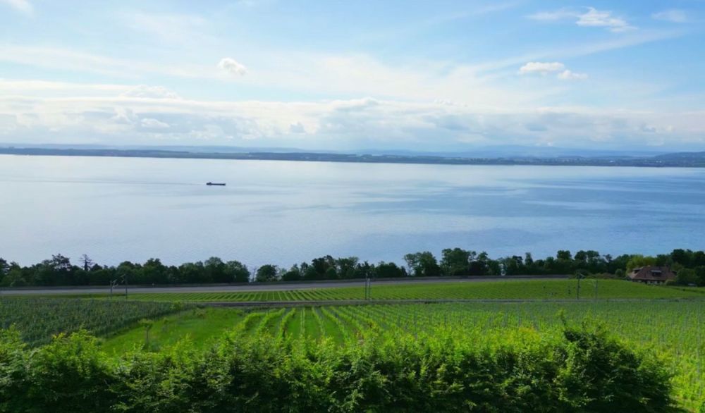 Quand l"exception devient votre adresse -  Bild 2