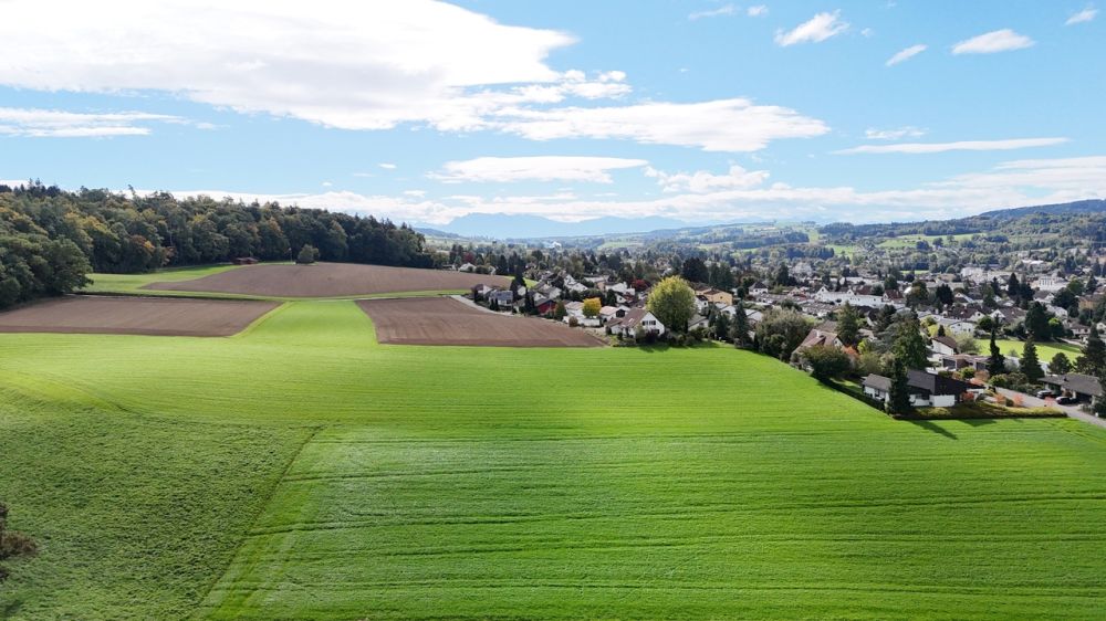 NEUBAU-JUWEL: Exklusive 4,5-Zi.-Terrassenwohnung - Bild 3