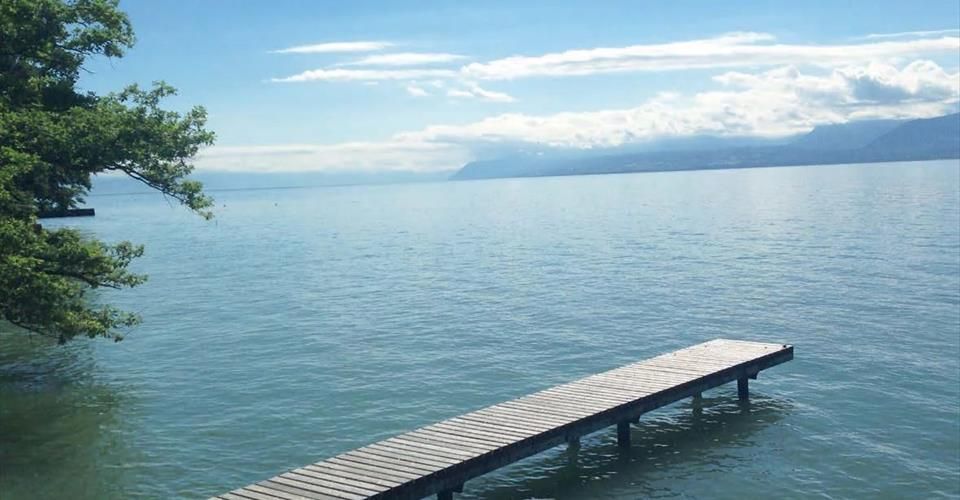 Propriété d'Exception Pieds dans l'Eau avec Ponton Privé - Maison - image - 1