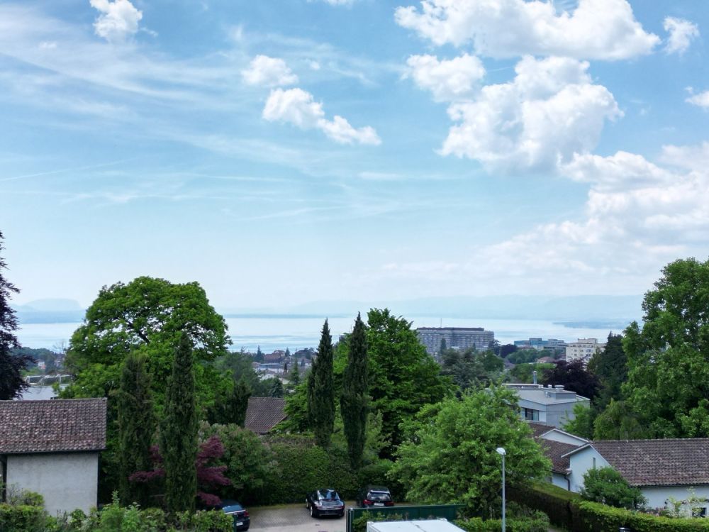 LAUSANNE LISIERE - PORTES OUVERTES MERCREDI 10 ET 17 JUIN - SUR RDV - vue