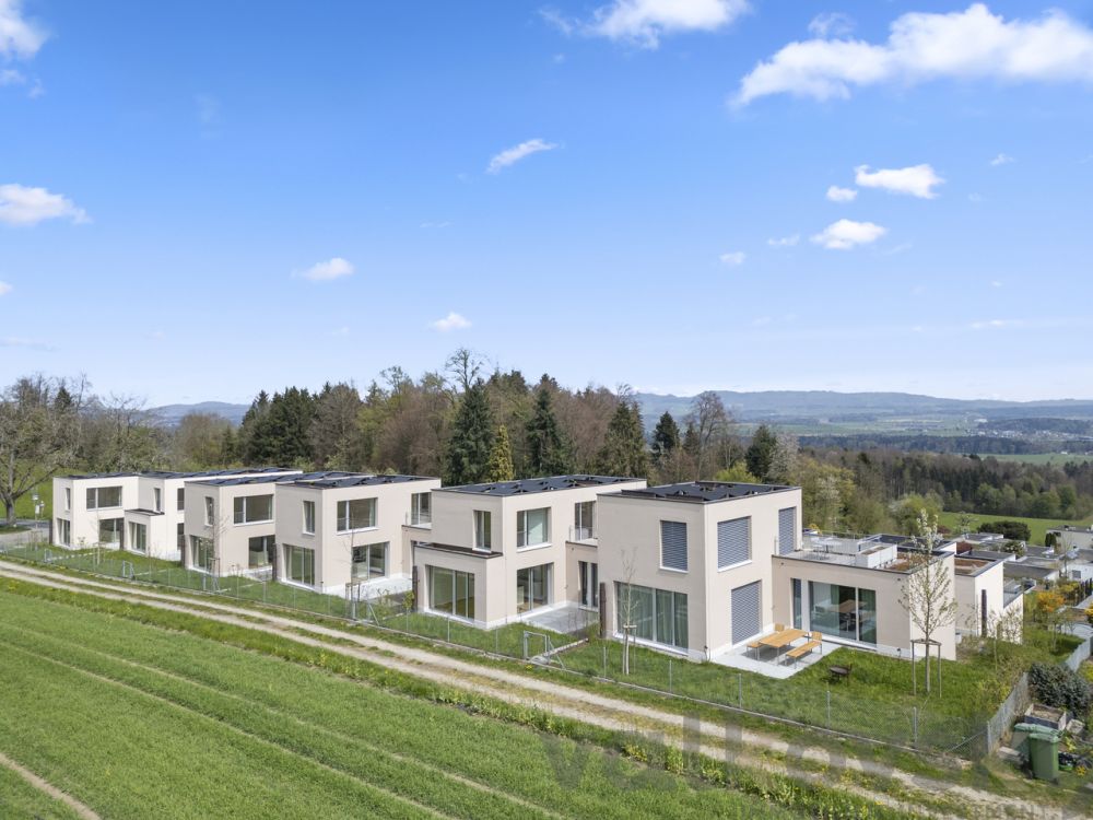 Top of Sins - Bild 4