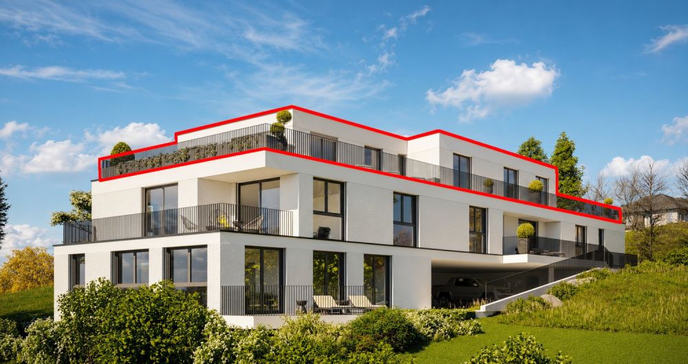 Moderne 5.5-Zimmer-Neubauwohnung im Attikageschoss in Menziken -  Bild 1