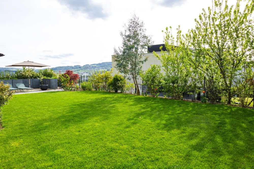 Top kernsaniertes EFH mit Aussicht in Geroldswil am Waldrand -  Bild 3