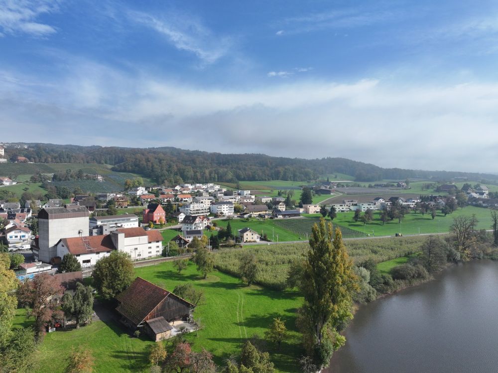 Unverwechselbar individuell: «Turmfalke» am Baldeggersee, Gelfingen -  Bild 1