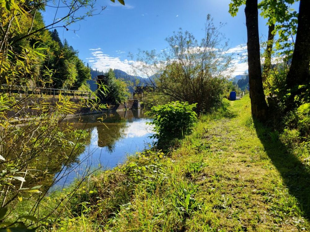 Moderne 5.5-Zimmer-Maisonette-Eigentumswohnung - wie Doppelhaushälfte an ruhiger, naturnaher Lage! - Bild 5