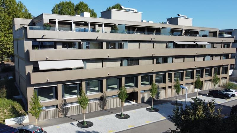 Schöne Singlewohnung in Küsnacht -  Bild 1