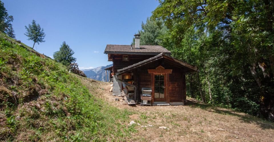 Charmant petit chalet à vendre à Lourtier - Chalet 2.5 pièces - image - 1