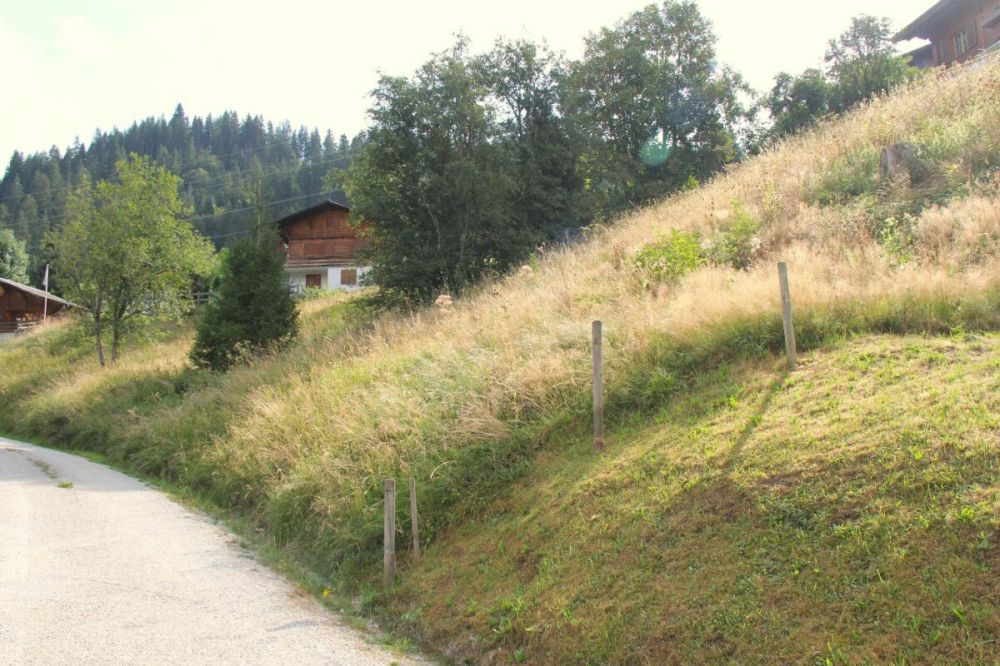 Wunderschönes Chalet an attraktiver Lage in Plaffeien, Schwarzsee FR -  Bild 5