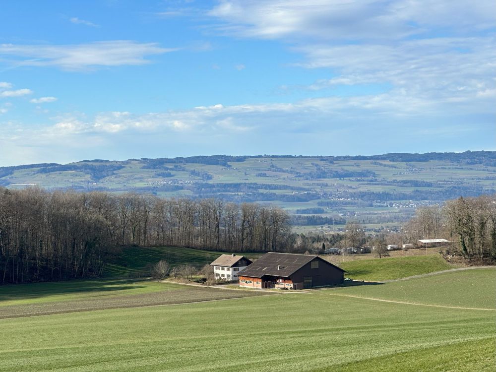 Grosszügige 3.5 Zimmer-Wohnung mit wundervoller Aussicht auf das Bergpanorama -  Bild 12