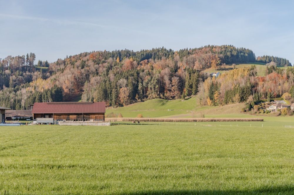 Wohnen im Grünen mit Stil und Komfort - Umgebung