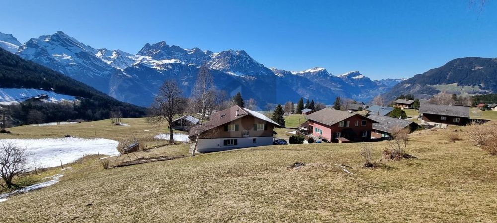EINZIGARTIG UND NATURVERBUNDEN -  Bild 2