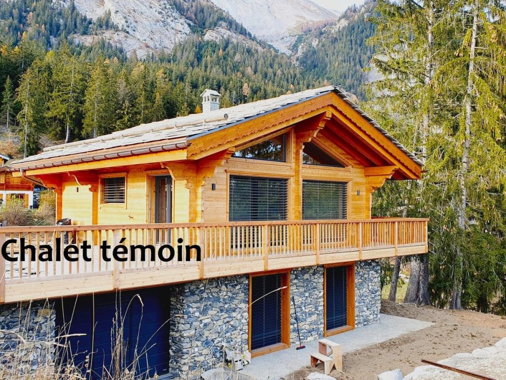 Authentique chaletOpportunité à ne pas manquer ! - Chalet témoin