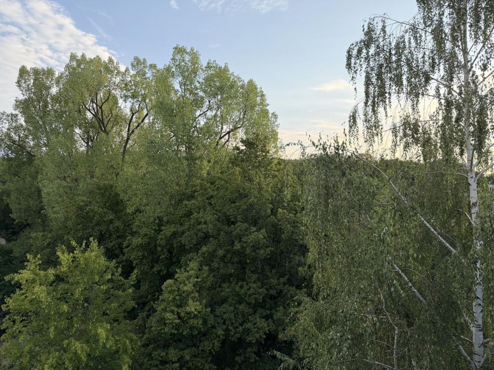 Helle 3½-Zimmer-Attikawohnung mit drei Balkonen und Weitsicht - Zürich ...