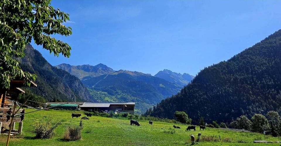 Villa mitoyenne de 3.5 pièces sur la Commune du Val de Bagnes - Maison jumelée 3.5 pièces - image - 9