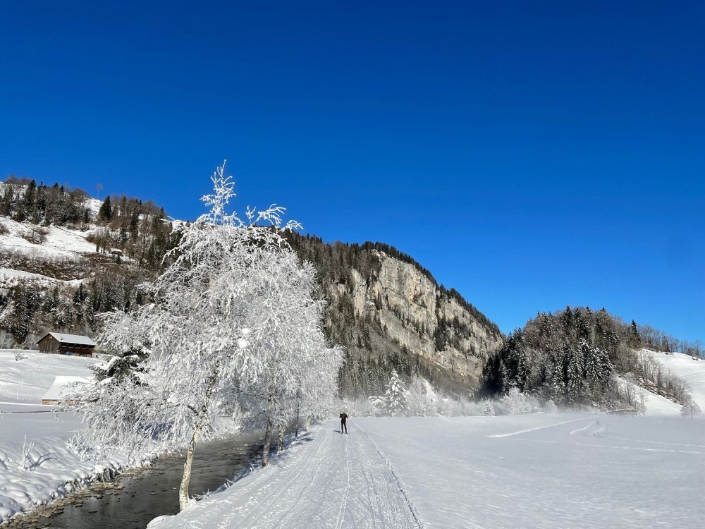 4.5-Zimmer-Neubau mit Seesicht in Euthal bei Einsiedeln - Bild 6