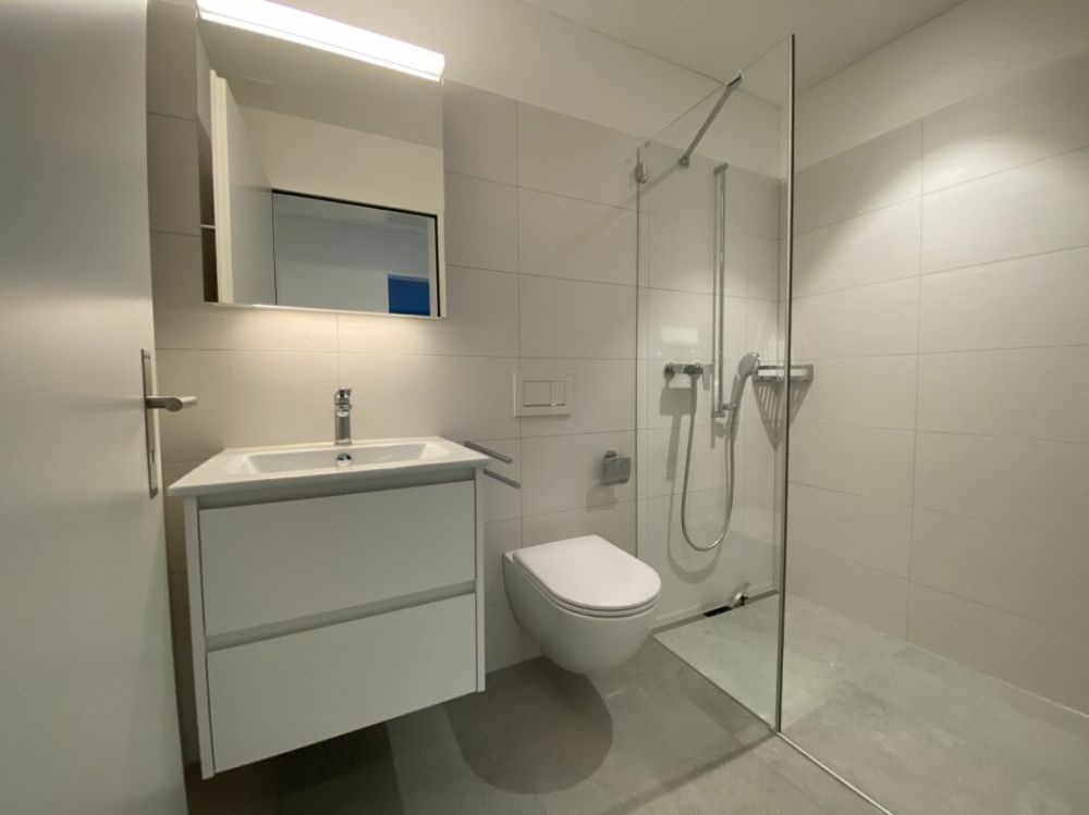 Lichtdurchflutete 4.5-Zimmerwohnung in der Überbauung «Neualtwil» - Dusche / WC