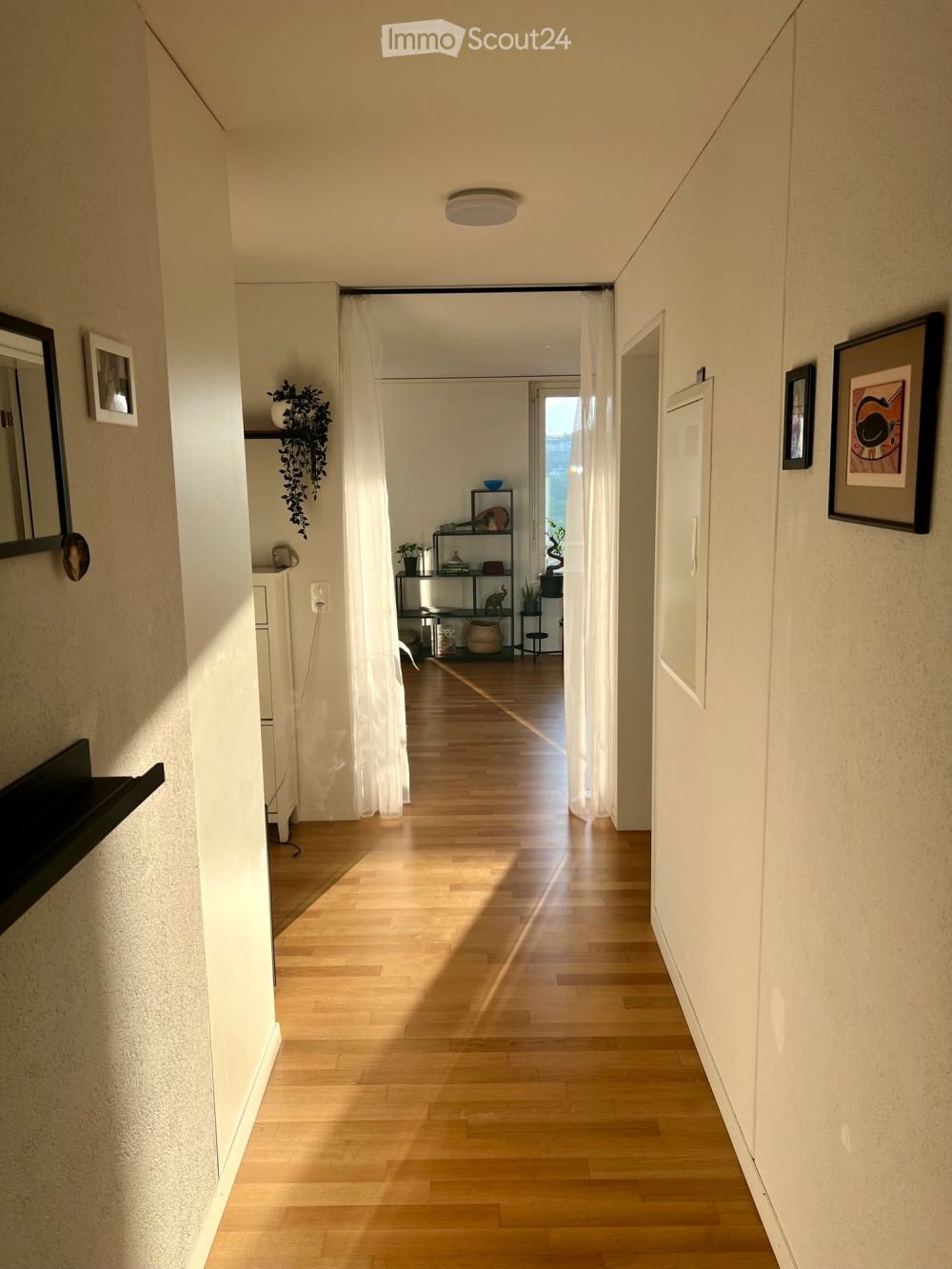 2.5 ZWG mit Weitsicht -  Bild 5