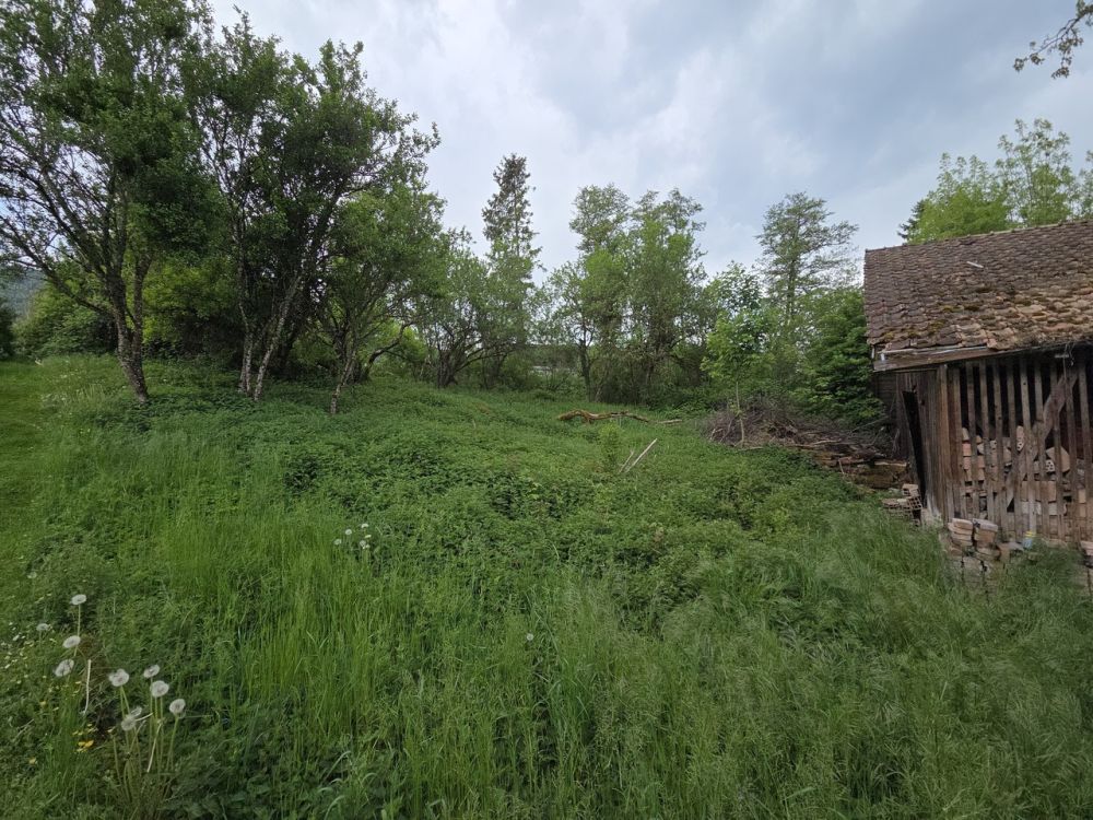 Zwei Gebäude auf 2'583 m2 Baugrund -  Bild 11