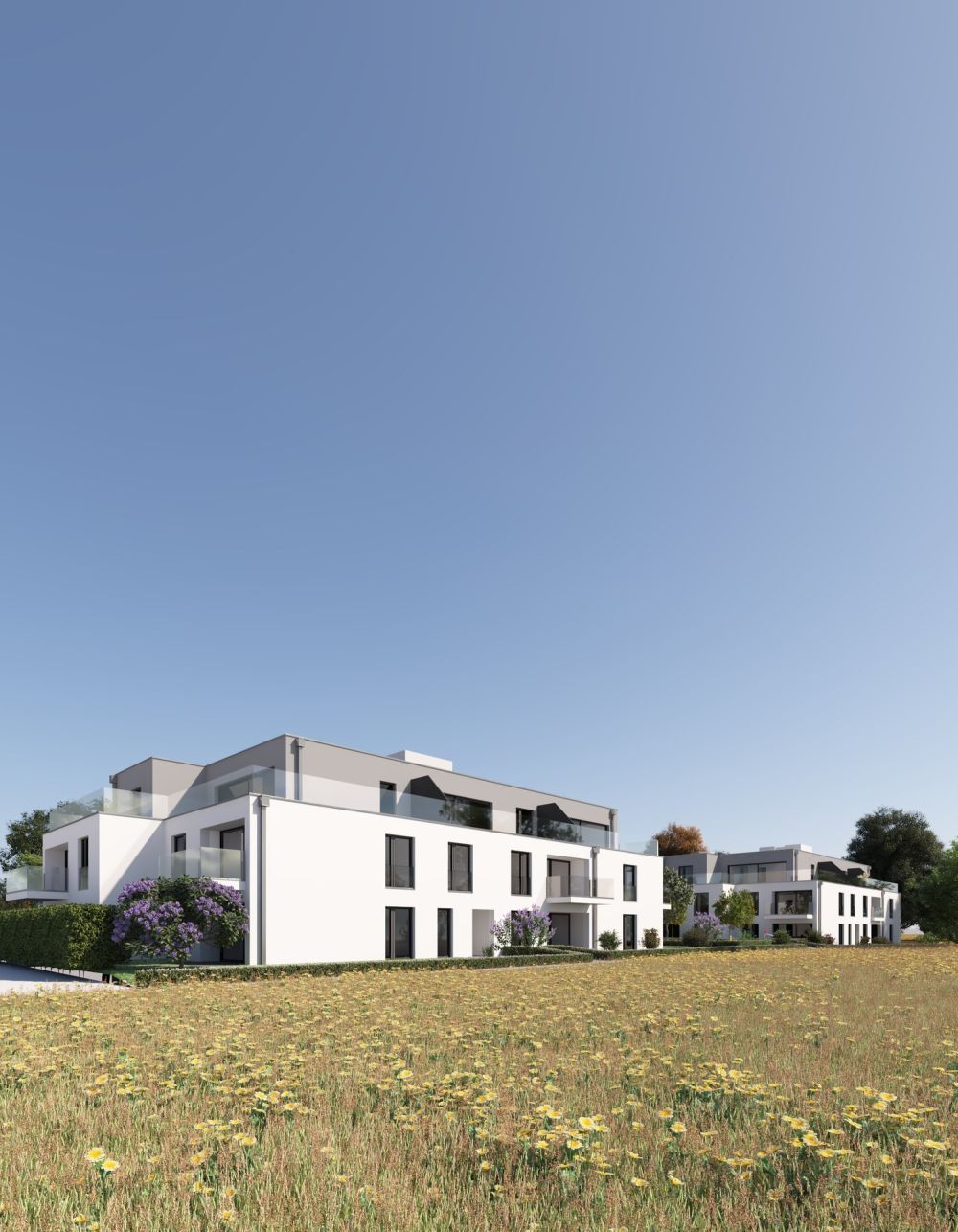 Appartement neuf de 4,5 pièces à Erlach - Bild 5