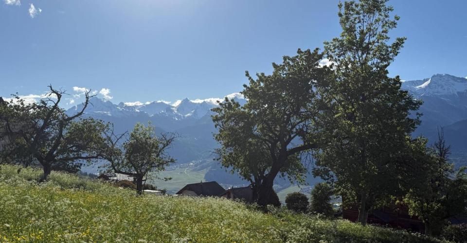 Magnifique attique neuf avec vue panoramique - Appartement 4.5 pièces - image - 2