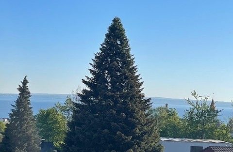 Neubauwohnungen zu vermieten - MFH Lotty -  Bild 3