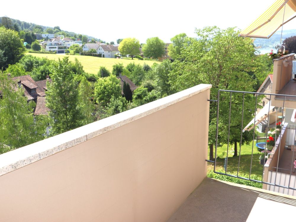 Erstvermietung nach Totalsanierung - grosszügige 2.0 Zi.-Wohnungen mit Balkon -  Bild 8