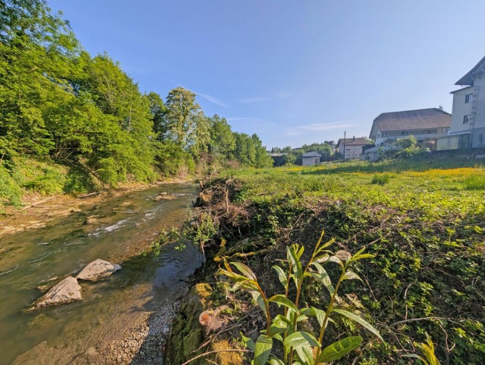 Charmantes Tiny House - Nachhaltig, stilvoll und gemütlich unmittelbar an der Murg -  Bild 3