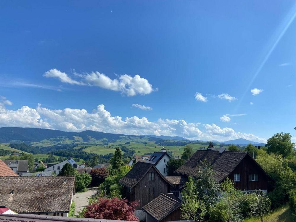 Moderne 5.5-Zimmer-Maisonette-Wohnung mit Aussicht in Hirzel - PHOTO-2025-07-01-10-21-13.jpg