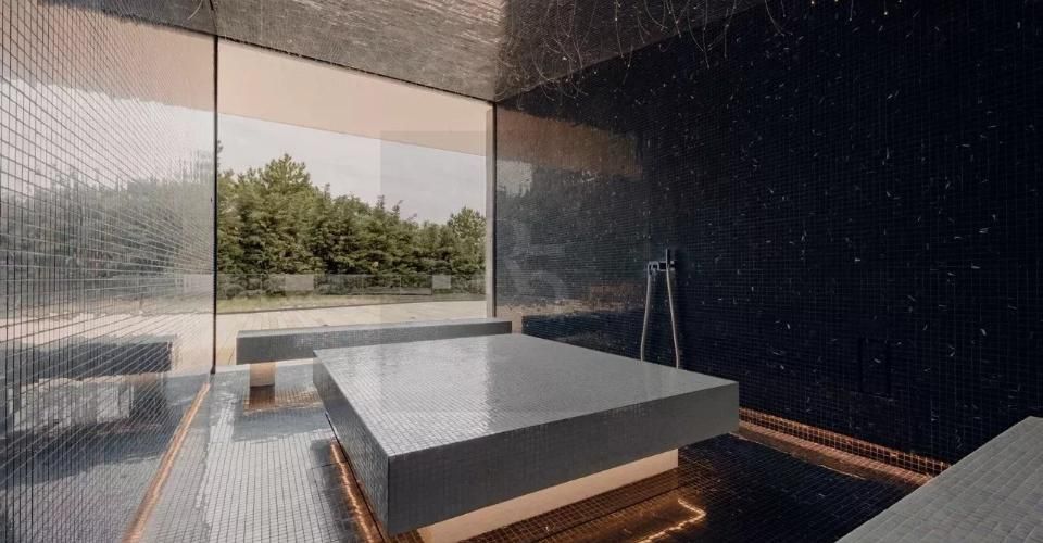 Grande Villa ? Retraite contemporaine ultra-privée aux portes de Genèv - Villa 20 pièces - image - 13