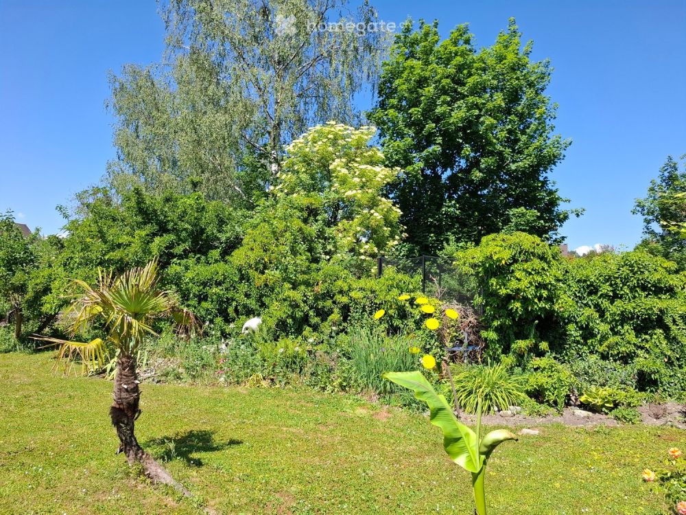 Einfamilienhaus (Liebhaberobjekt) an ruhiger Lage, Grundstück 710m2 -  Bild 4