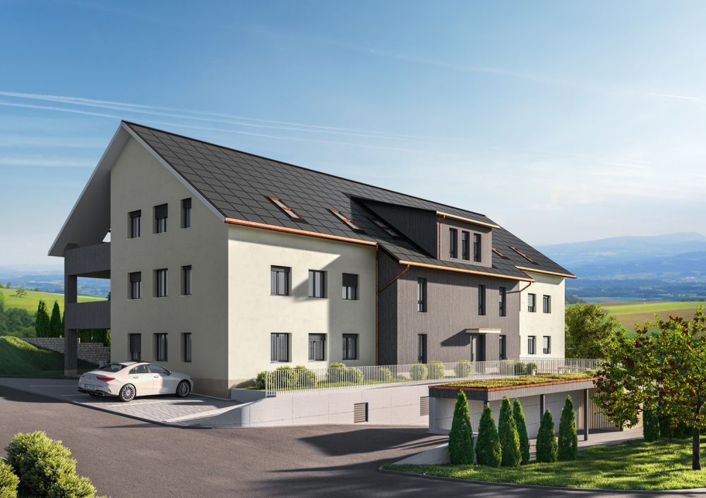 Neubauprojekt: Wohnraum Gansingen - Gansingen_Ext_Cam02_Test02