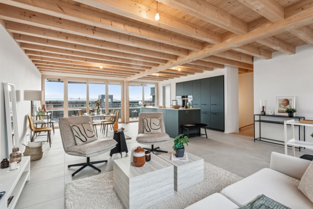 Opportunité ! Magnifique villa contemporaine aux portes de Fribourg - Séjour